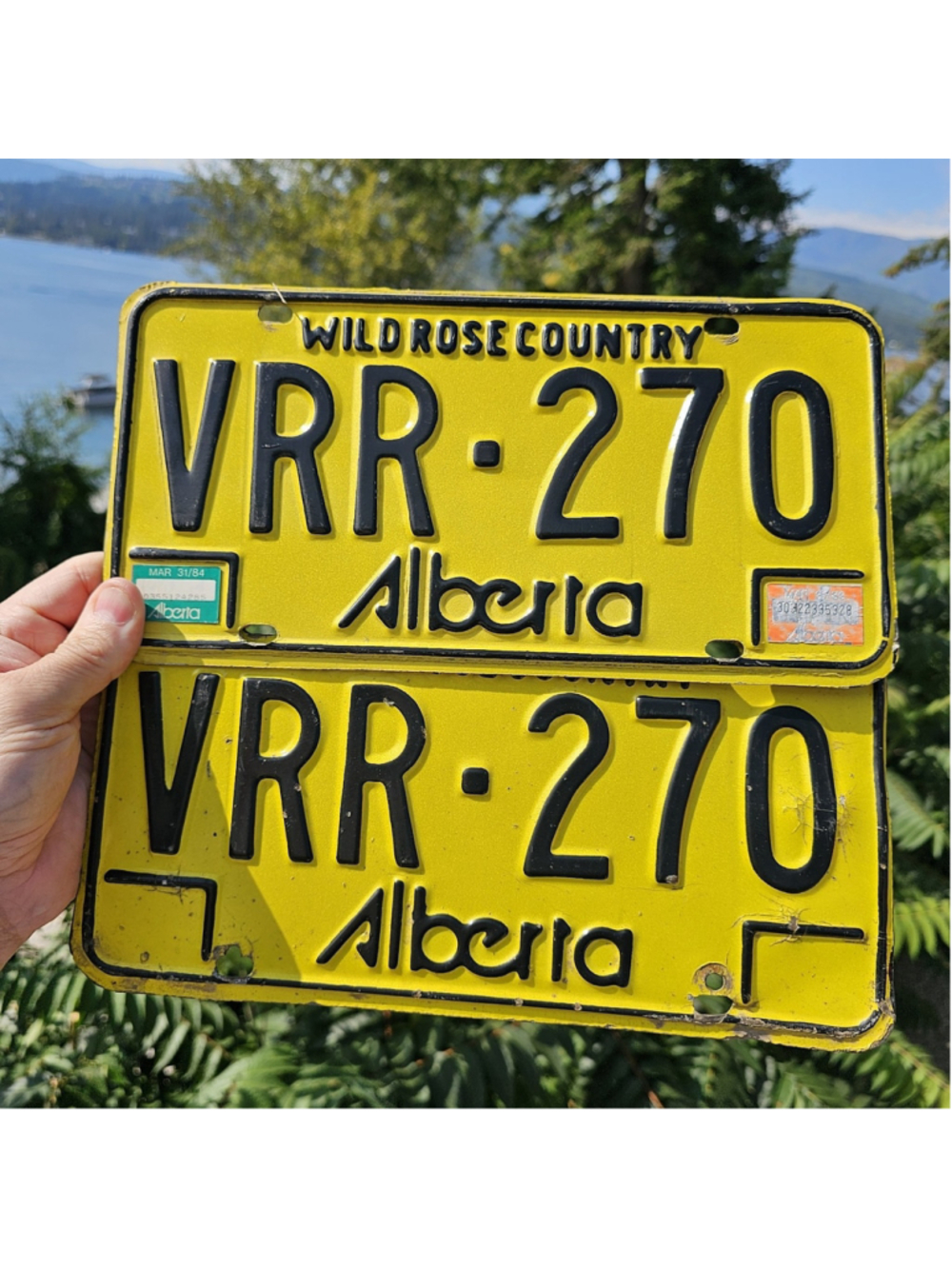 1983 Alberta License Plate Matching Pair VRR-270 Wild Rose Country Vintage